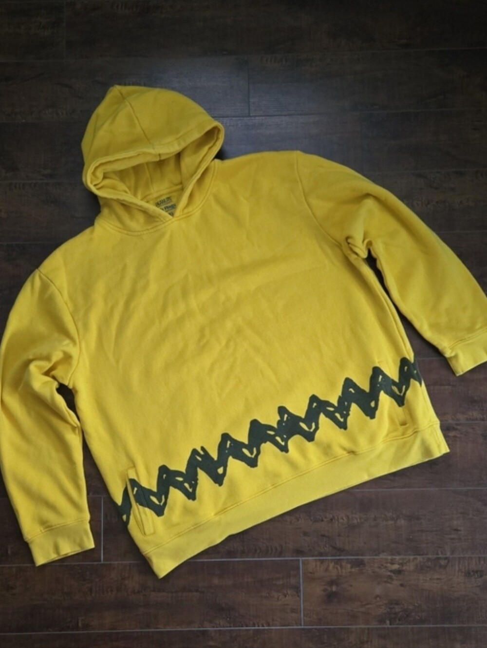 Peanuts Six Flags Charlie Brown Hoodie Size 2XL